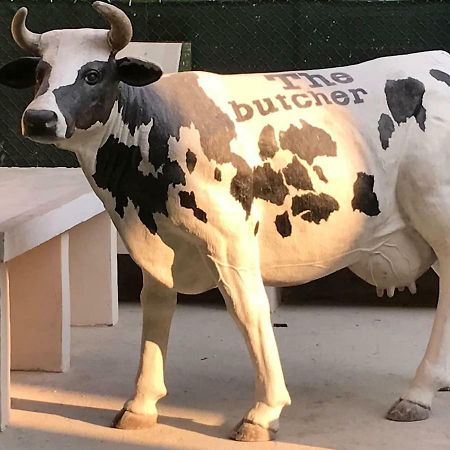 The Butcher-Ducati And Airport Blq Leilighet Bologna Eksteriør bilde